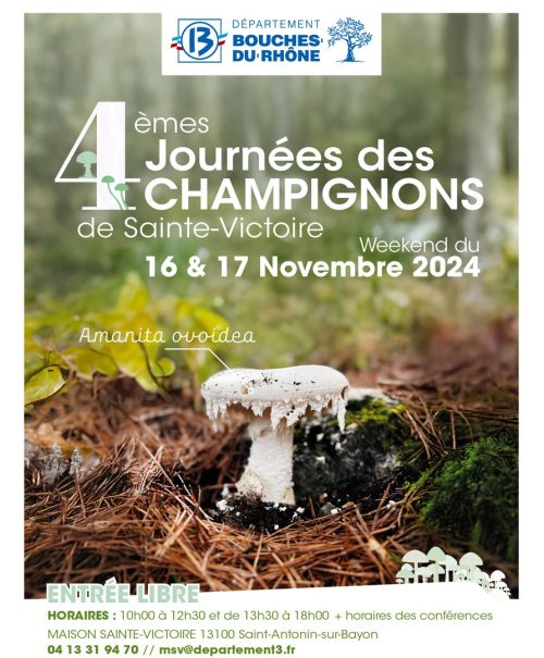 4e journée champignons Sainte Victoire 16-17 novembre 2024