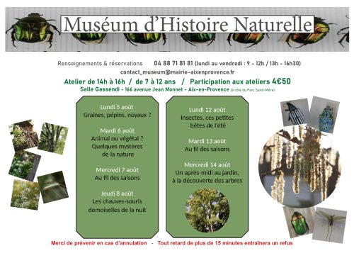 Programme Museum Aout 2024