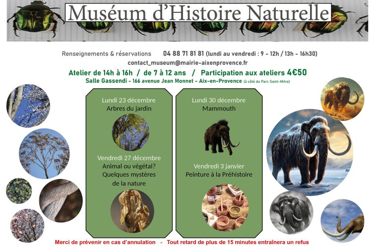 Atelier pédagogique - muséum d'histoire naturelle - programme vacances de Noël 2024