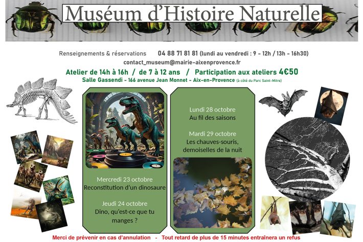 Programme atelier Museum d'histoires naturelles - vacances toussaint 2024