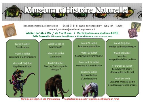 Programme Museum juillet 2024