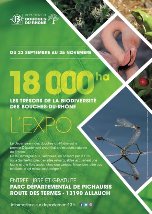 Expo biodiversité Parc de Pichauris