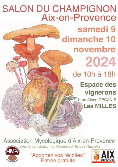 salon du champignon - 2024 - affiche